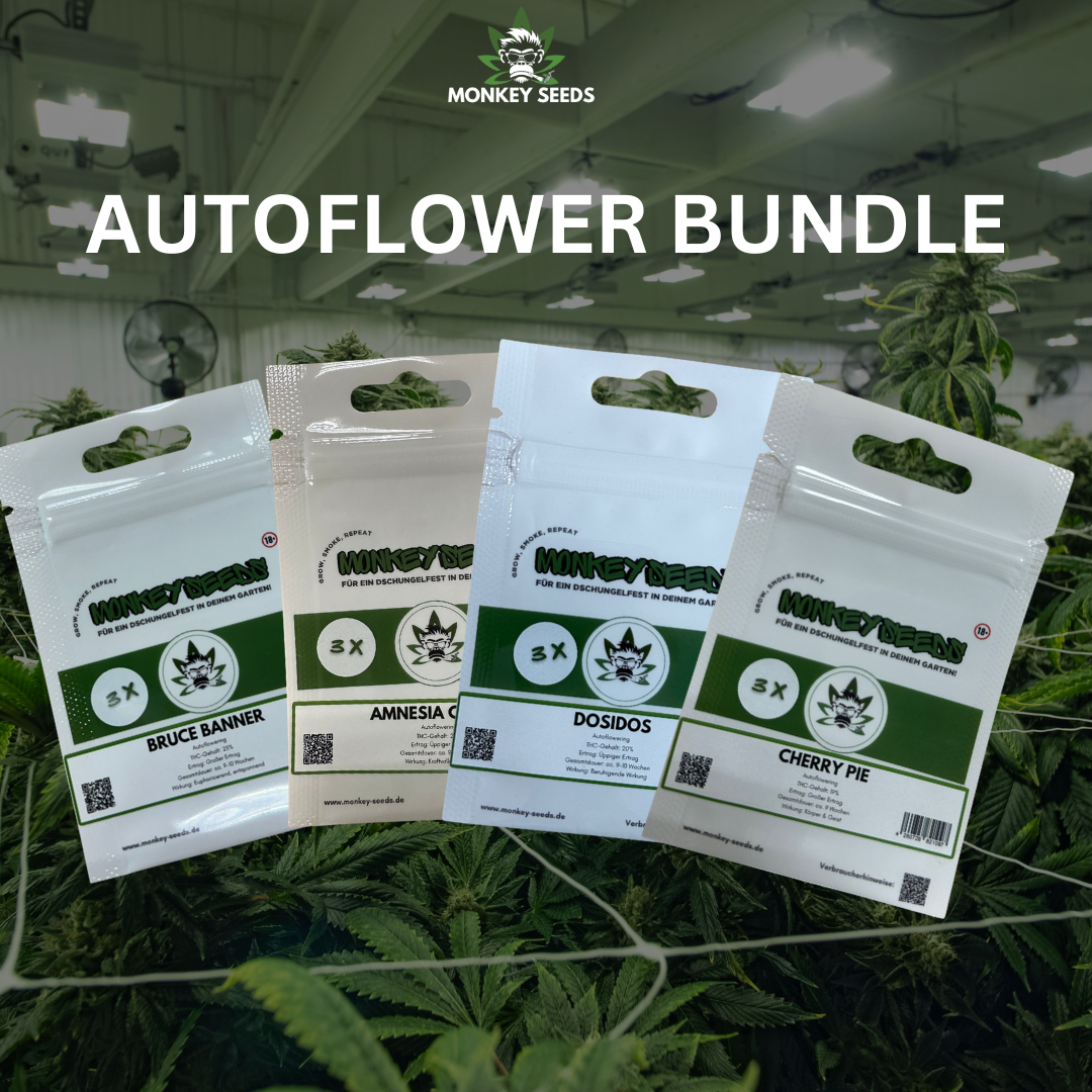 Autoflowering Bundle